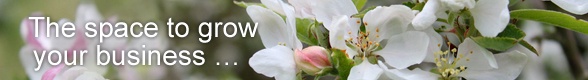 Small Banner