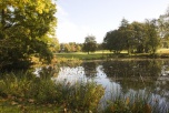 Image 3 Image 3
